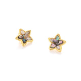 Natural Abalone Shell Stud Earrings - Iridescent Round Mother of Pearl Studs